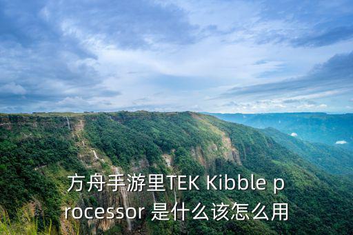 方舟手游里TEK Kibble processor 是什么该怎么用