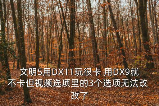 文明5用DX11玩很卡 用DX9就不卡但视频选项里的3个选项无法改 改了