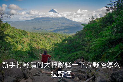 新手打野请问大神解释一下拉野怪怎么拉野怪