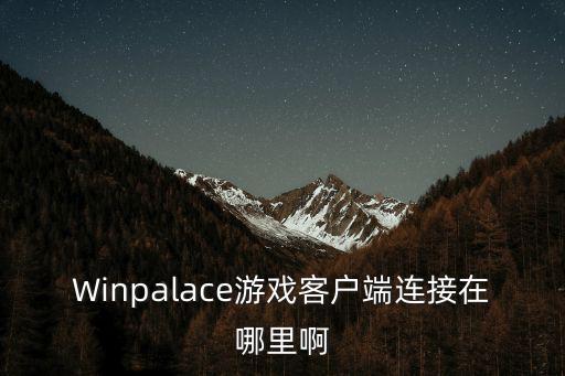 Winpalace游戏客户端连接在哪里啊