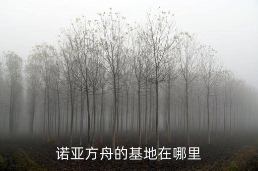 诺亚方舟的基地在哪里