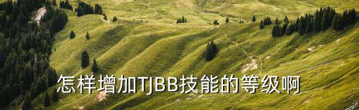 怎样增加TJBB技能的等级啊