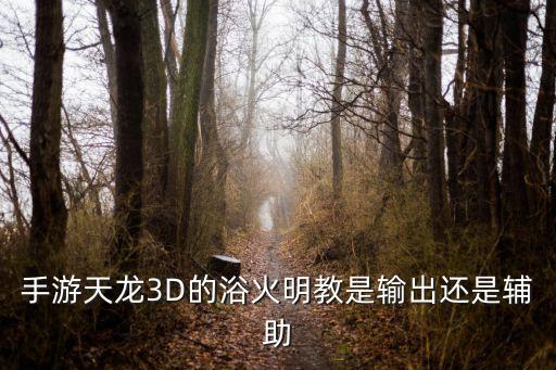 手游天龙3D的浴火明教是输出还是辅助