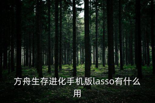 方舟生存进化手游卫生纸怎么用，方舟生存进化手机版lasso有什么用