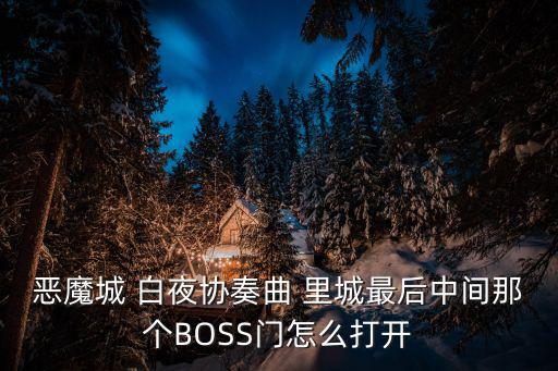 恶魔城 白夜协奏曲 里城最后中间那个BOSS门怎么打开