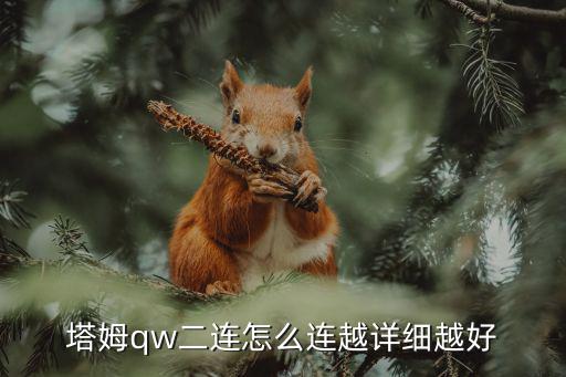 塔姆qw二连怎么连越详细越好