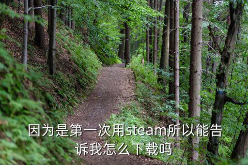 steam移植的手游怎么下载， 因为是第一次用steam所以能告诉我怎么下载吗