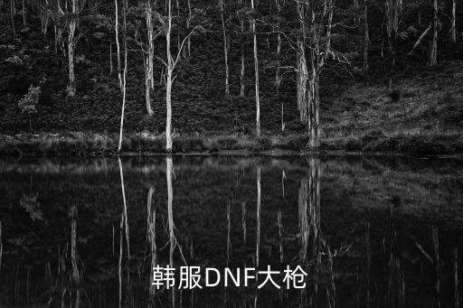 韩服DNF大枪