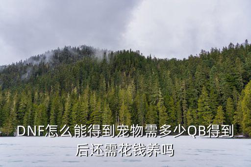 DNF怎么能得到宠物需多少QB得到后还需花钱养吗