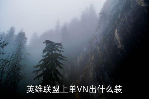 英雄联盟上单VN出什么装