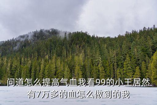 问道怎么提高气血我看99的小王居然有7万多的血怎么做到的我