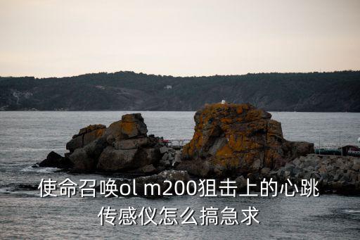 使命召唤ol m200狙击上的心跳传感仪怎么搞急求