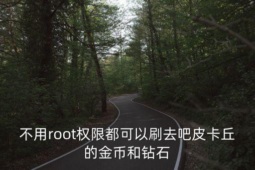 不用root权限都可以刷去吧皮卡丘的金币和钻石