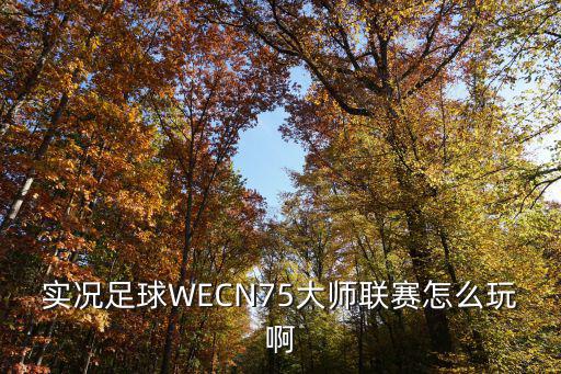 实况足球WECN75大师联赛怎么玩啊