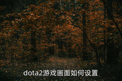 dota2游戏画面如何设置