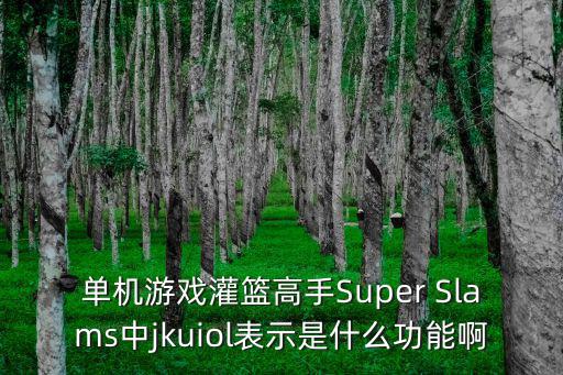 单机游戏灌篮高手Super Slams中jkuiol表示是什么功能啊