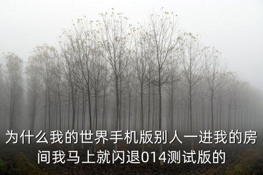 为什么我的世界手机版别人一进我的房间我马上就闪退014测试版的