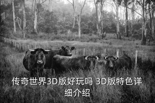 3d版传奇手游怎么玩，传奇游戏怎么操作