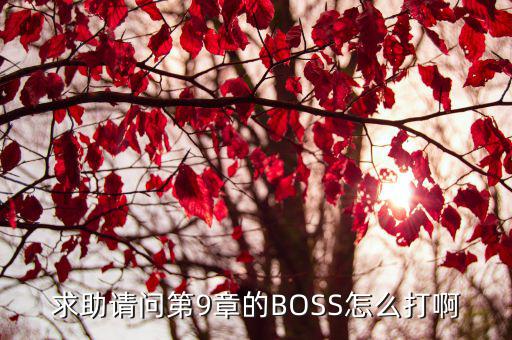 求助请问第9章的BOSS怎么打啊