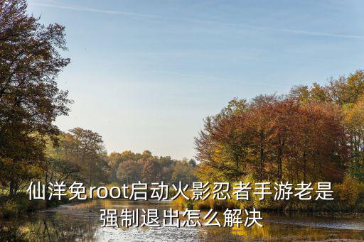 仙洋免root启动火影忍者手游老是强制退出怎么解决