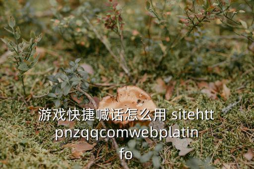 游戏快捷喊话怎么用 sitehttpnzqqcomwebplatinfo