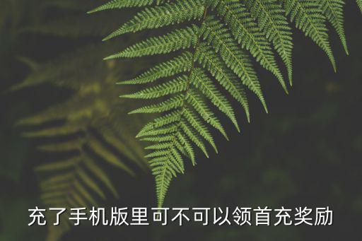 充了手机版里可不可以领首充奖励