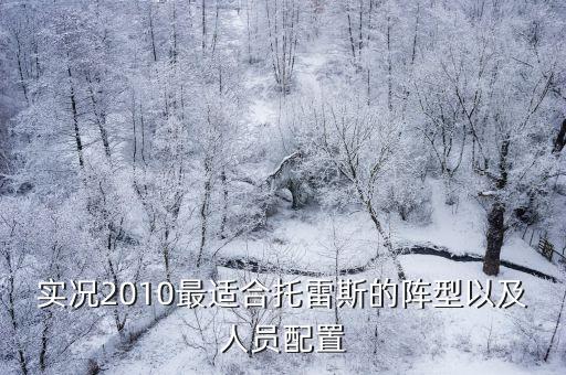 实况2010最适合托雷斯的阵型以及人员配置