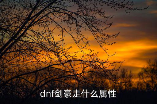 dnf剑豪走什么属性