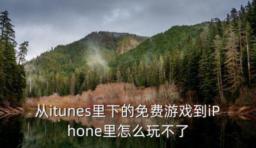 一元手游苹果版怎么用不了，从itunes里下的免费游戏到iPhone里怎么玩不了