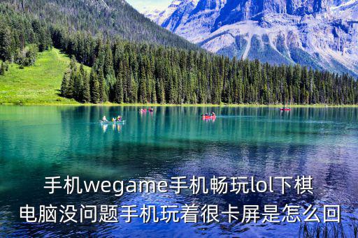 手机wegame手机畅玩lol下棋电脑没问题手机玩着很卡屏是怎么回