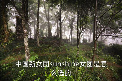 中国新女团sunshine女团是怎么选的