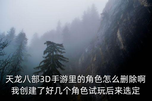 天龙八部3D手游里的角色怎么删除啊我创建了好几个角色试玩后来选定