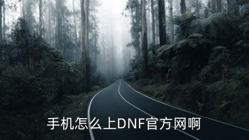 手机怎么上DNF官方网啊