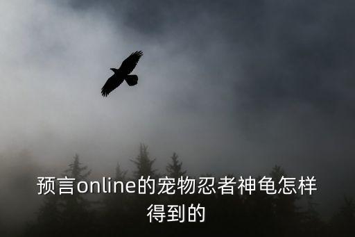 预言online的宠物忍者神龟怎样得到的