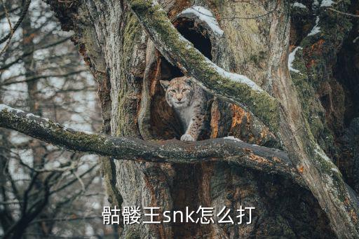 骷髅王snk怎么打