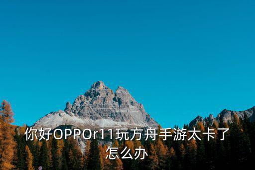 你好OPPOr11玩方舟手游太卡了怎么办