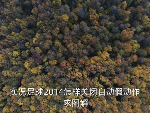 实况足球2014怎样关闭自动假动作 求图解