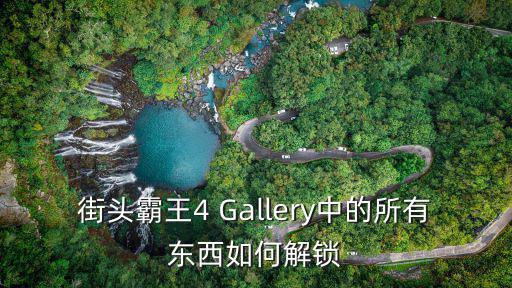 街头霸王4 Gallery中的所有东西如何解锁