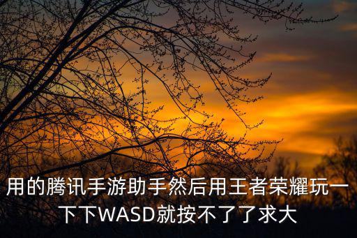 用的腾讯手游助手然后用王者荣耀玩一下下WASD就按不了了求大