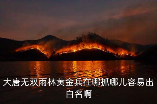 大唐无双雨林黄金兵在哪抓哪儿容易出白名啊