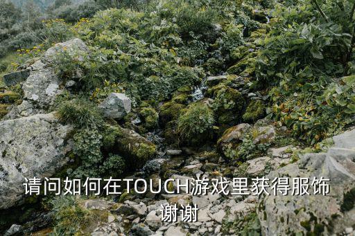 请问如何在TOUCH游戏里获得服饰 谢谢