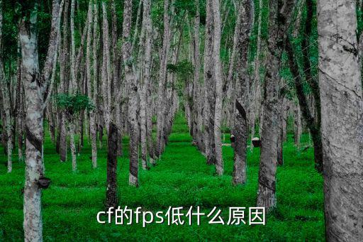 cf的fps低什么原因