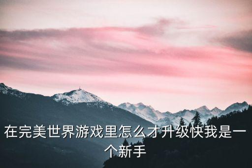 在完美世界游戏里怎么才升级快我是一个新手