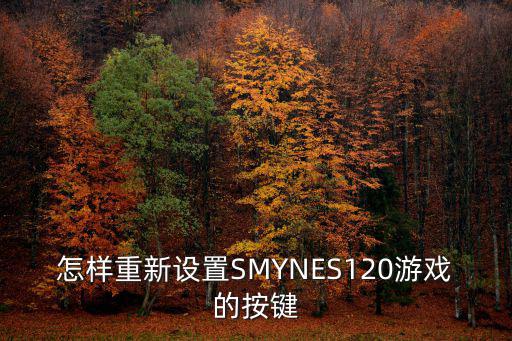 怎样重新设置SMYNES120游戏的按键