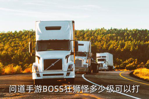 问道手游65级怎么抓狮子，问道手游BOSS狂狮怪多少级可以打