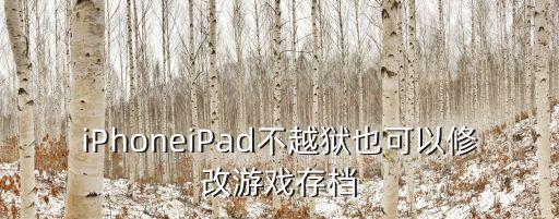 iPhoneiPad不越狱也可以修改游戏存档