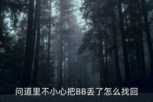 问道里不小心把BB丢了怎么找回