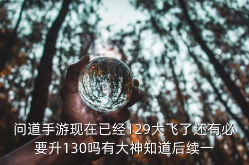 问道手游现在已经129大飞了还有必要升130吗有大神知道后续一