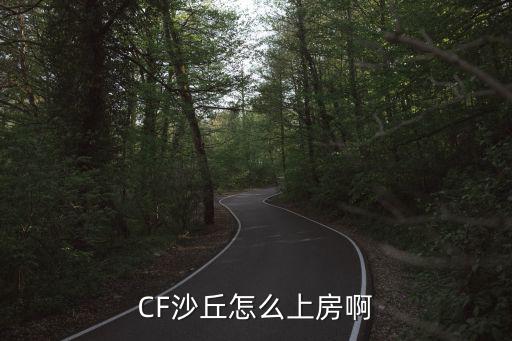 CF沙丘怎么上房啊