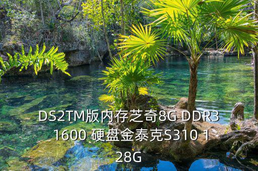 DS2TM版内存芝奇8G DDR3 1600 硬盘金泰克S310 128G